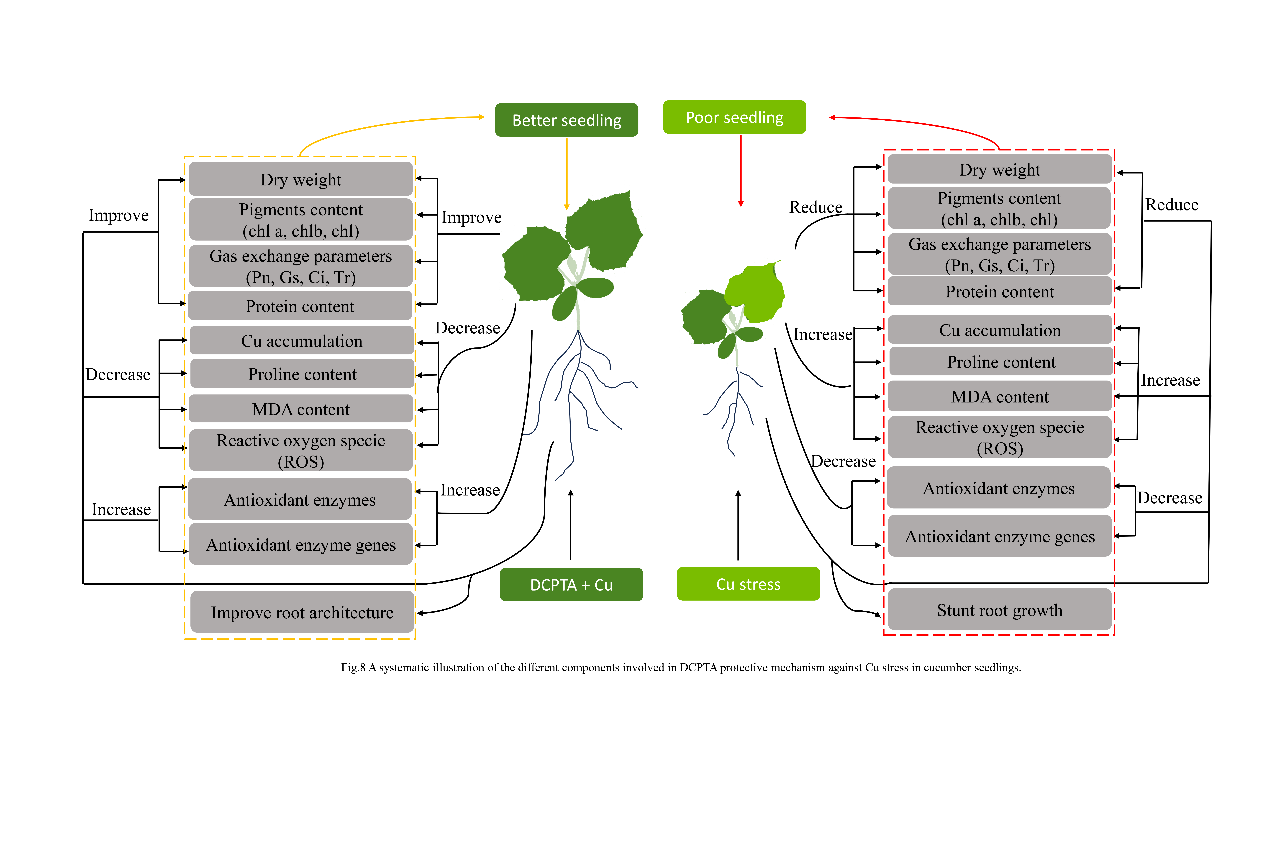 ֽ����Ϸ����