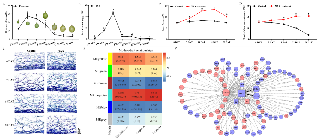 ֽ����Ϸ����