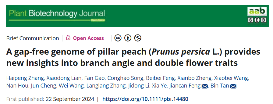 ֽ����Ϸ����