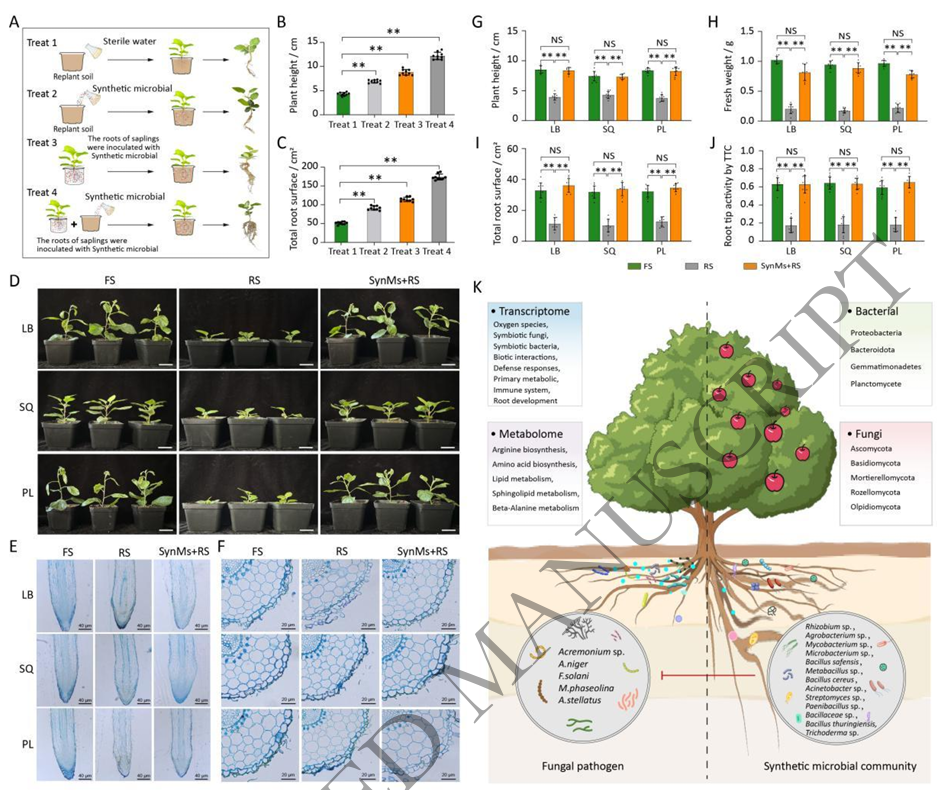 ֽ����Ϸ����