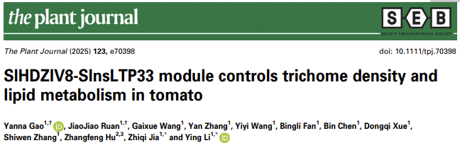 ֽ����Ϸ����