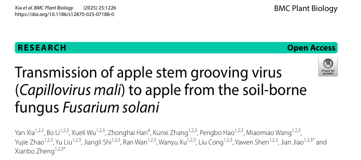 ֽ����Ϸ����