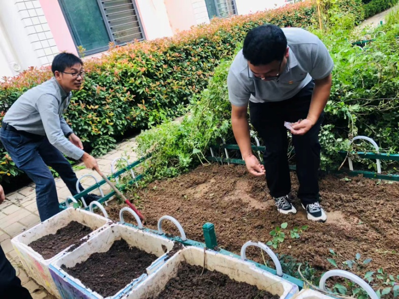 ֽ����Ϸ����