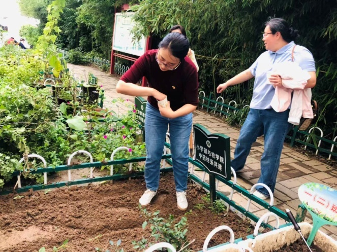 ֽ����Ϸ����