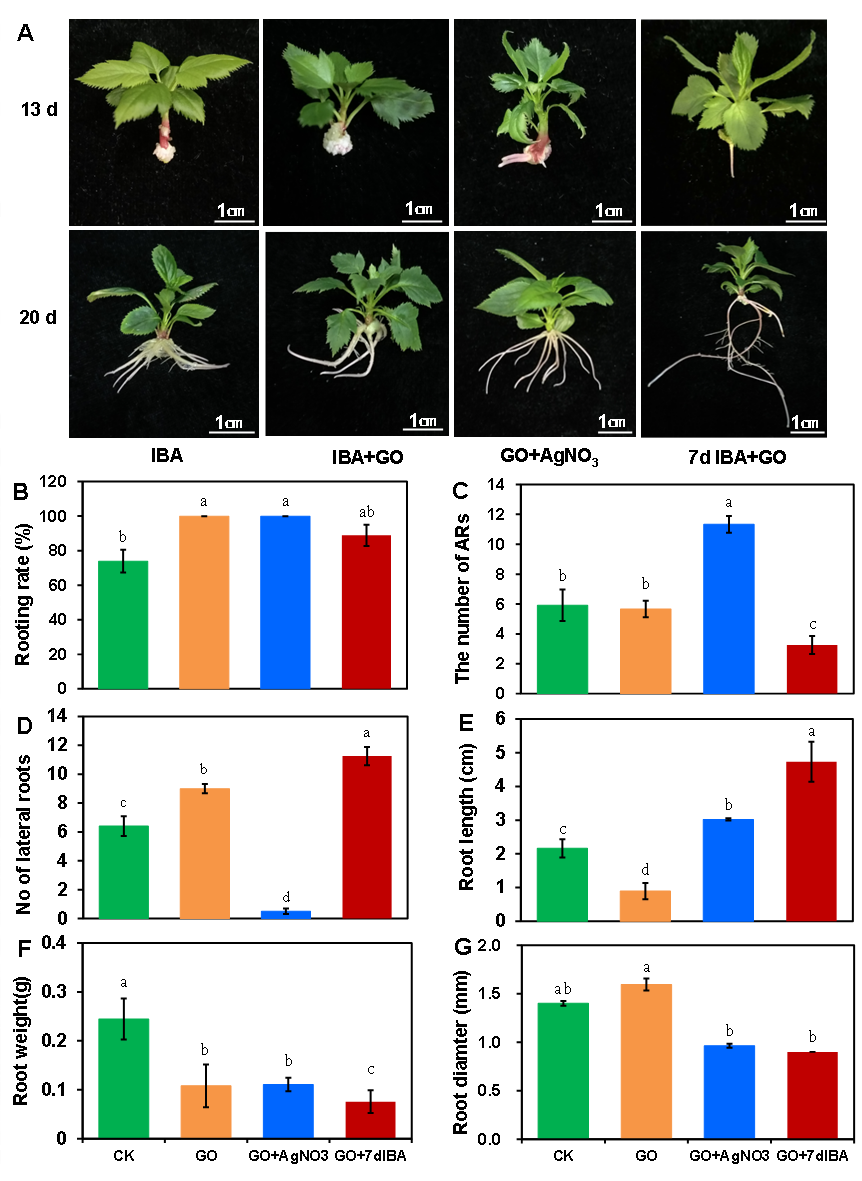 ֽ����Ϸ����