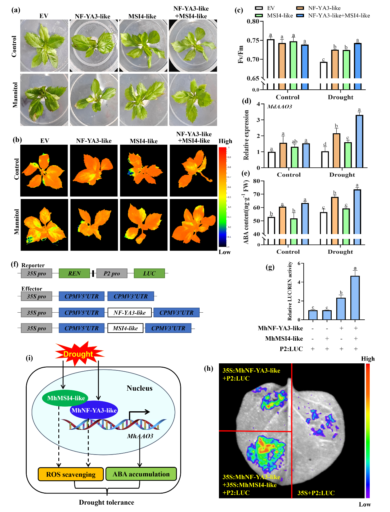 ֽ����Ϸ����