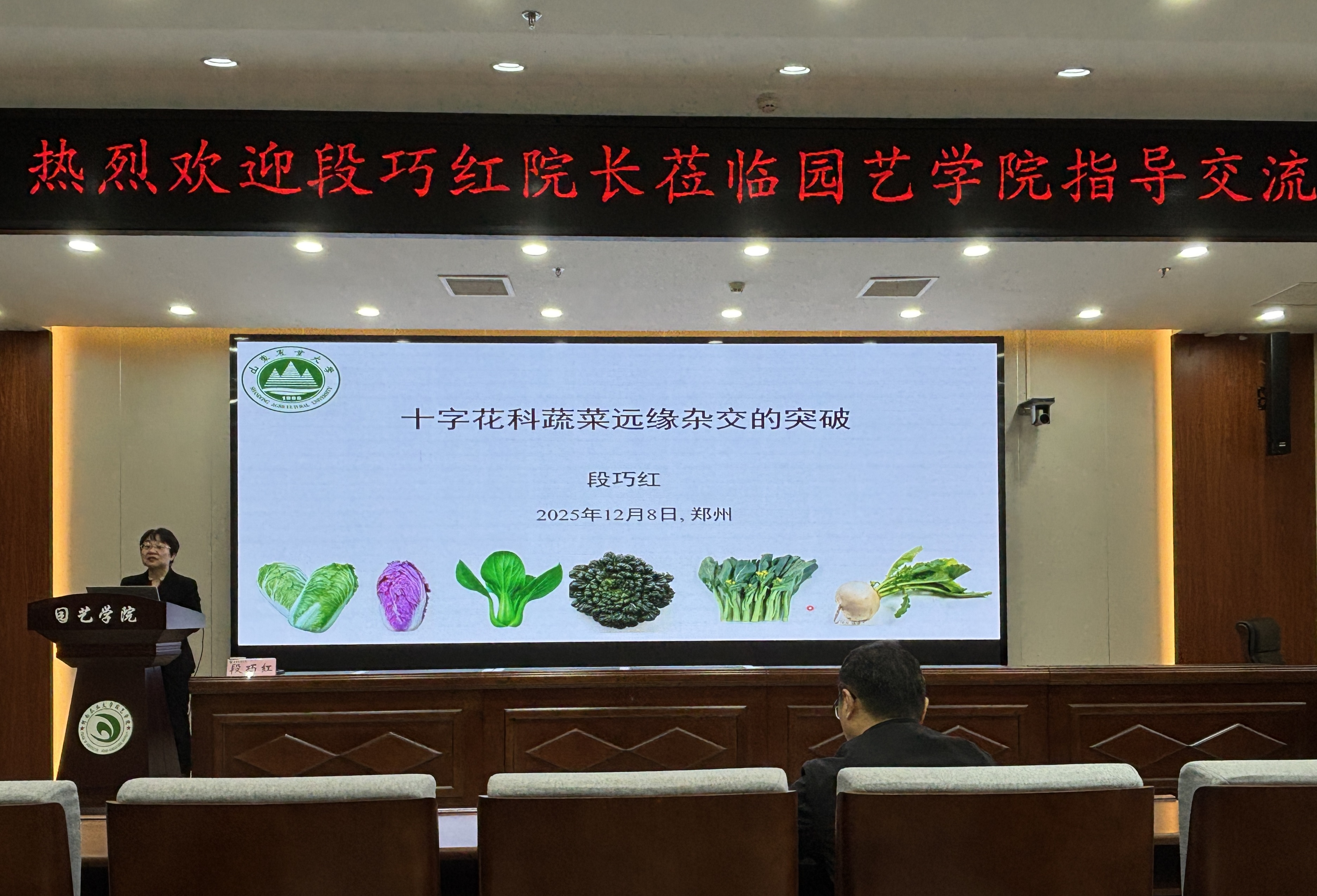 ֽ����Ϸ����