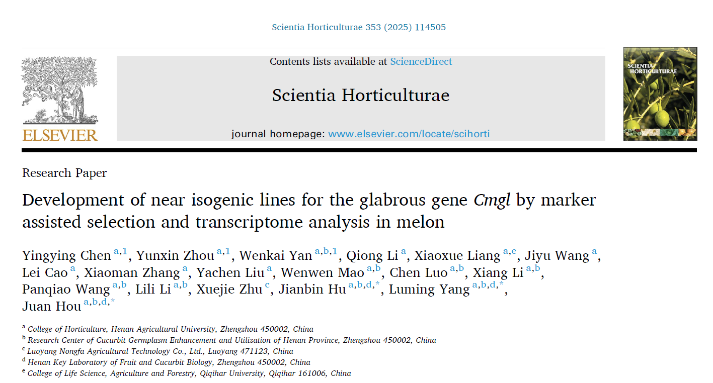 ֽ����Ϸ����