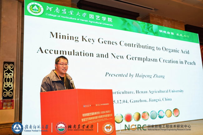 ֽ����Ϸ����