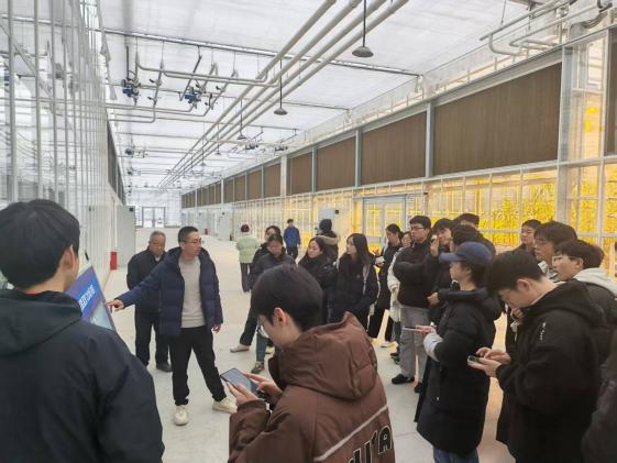 ֽ����Ϸ����