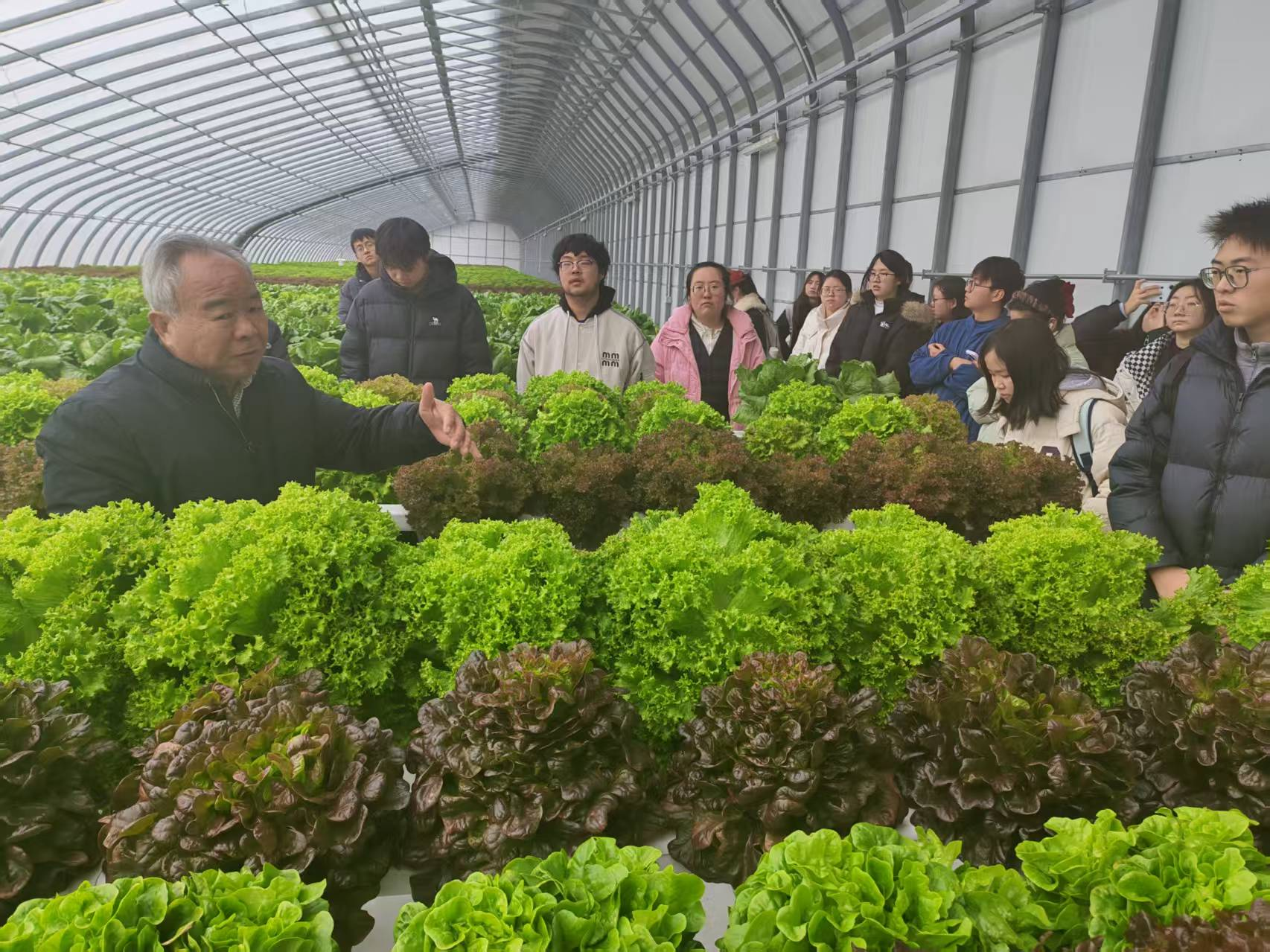 ֽ����Ϸ����