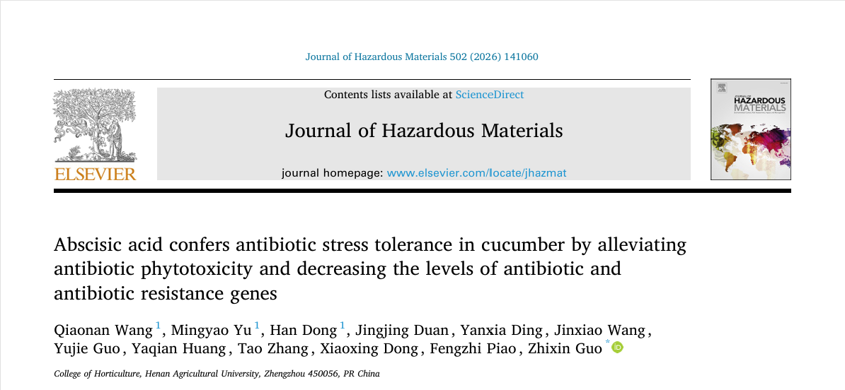 ֽ����Ϸ����